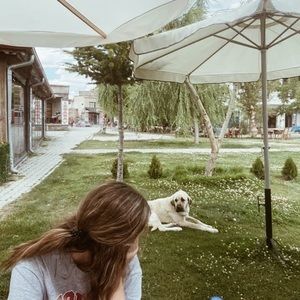 Meet your Posher, Katya